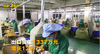 外国人也爱艾草？南阳艾制品前4个月出口497.4吨