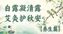 【节气养生】白露至，秋意浓！最全白露养生攻略，收好安稳过深秋！